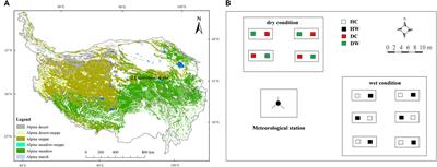 Productivity and Quality of Alpine Grassland Vary With Soil Water Availability Under Experimental Warming